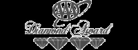 The image contains a logo with the text "Diamond Squad" and three diamond shapes below it. logo on footer section.