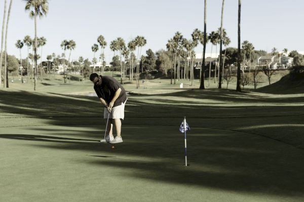 A person is playing golf, putting on a green. Palm trees and a clear sky are in the background.