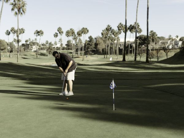 A person is playing golf, putting on a green. Palm trees and a clear sky are in the background.