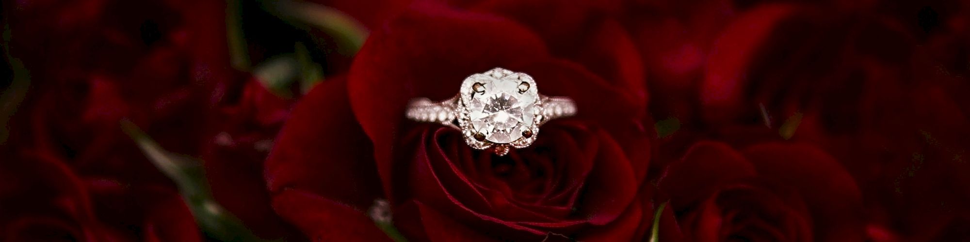 A diamond ring is placed in the center of a bunch of red roses, creating an elegant and romantic display.