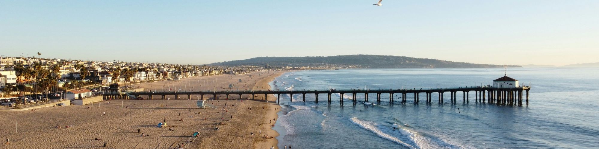 An aerial view of a beach with a long pier extending into the ocean, people on the sand, and a seagull flying above.