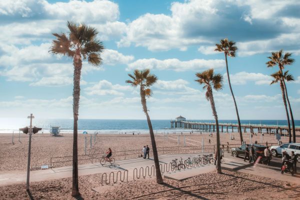 A sunny beach scene with tall palm trees, a pier extending into the ocean, people walking and biking, and a lifeguard tower all visible.