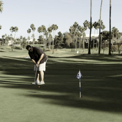 A person is putting on a golf course surrounded by palm trees under a clear sky.