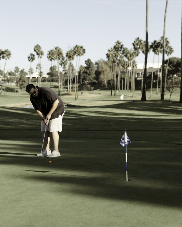 A person is putting on a golf course surrounded by palm trees under a clear sky.