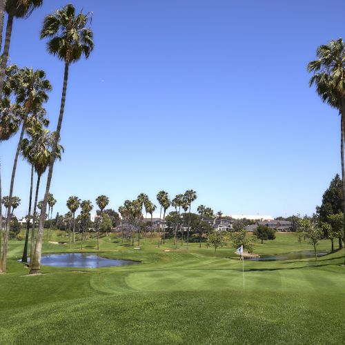 A golf course with tall palm trees, a pond, manicured greens, and clear blue sky in the background.