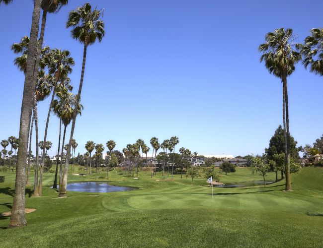 A golf course with tall palm trees, a pond, manicured greens, and clear blue sky in the background.