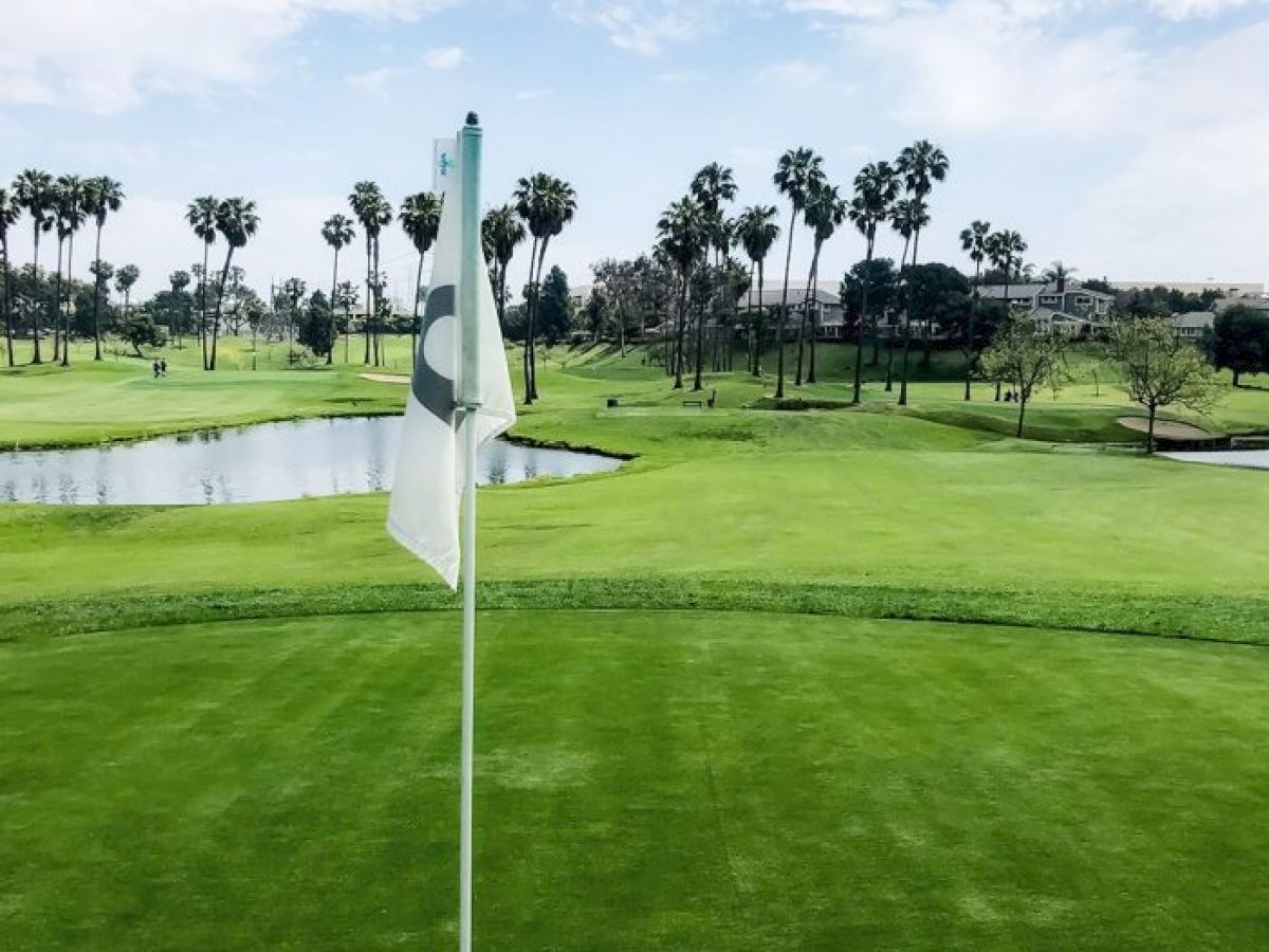 A view of a golf course with a flag in the foreground, lush green grass, palm trees, and a pond in the background under a partly cloudy sky.