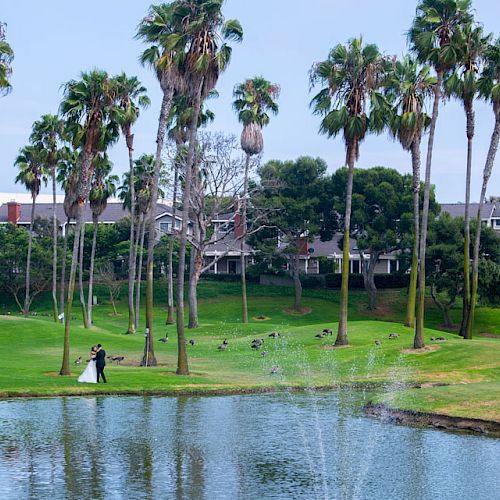 A serene park scene with tall palm trees, a picturesque pond, and a couple standing near the water, with houses visible in the background.