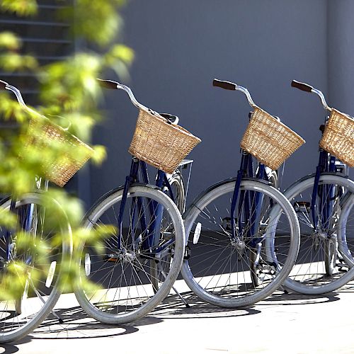 The image shows five bicycles with wicker baskets parked in a row on a sunny day, with some greenery slightly visible in the foreground.