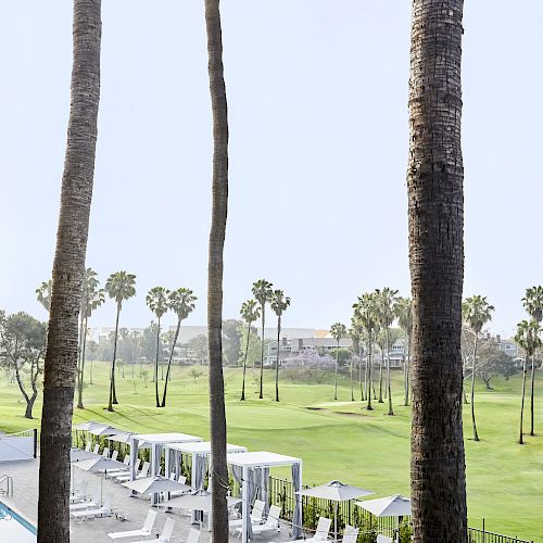 The image shows a lush green golf course surrounded by tall palm trees, with a pool area and cabanas in the foreground.