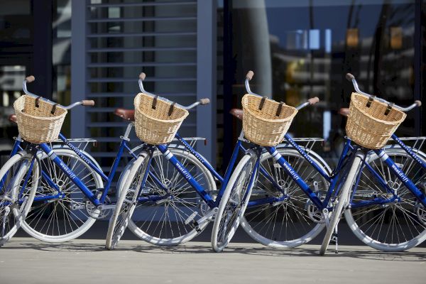 Five blue bicycles with wicker baskets are parked in a row outside a modern building with large windows and louvered shutters.