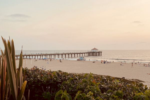 A serene beach scene at sunset, featuring a pier extending into the ocean with people walking. Foreground includes plants and beachgoers in the distance.