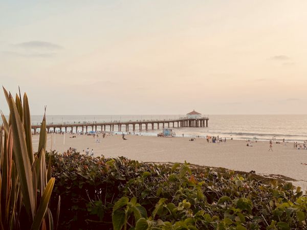 A serene beach scene at sunset, featuring a pier extending into the ocean with people walking. Foreground includes plants and beachgoers in the distance.