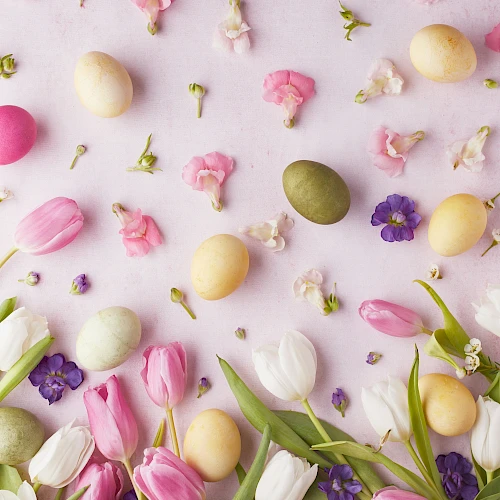 westdrift Manhattan Beach, Autograph Collection