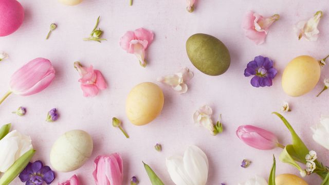 westdrift Manhattan Beach, Autograph Collection