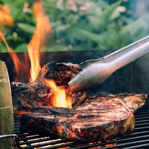 A close-up of a barbecue grill with tongs holding a steak over flames, surrounded by greenery in the background.