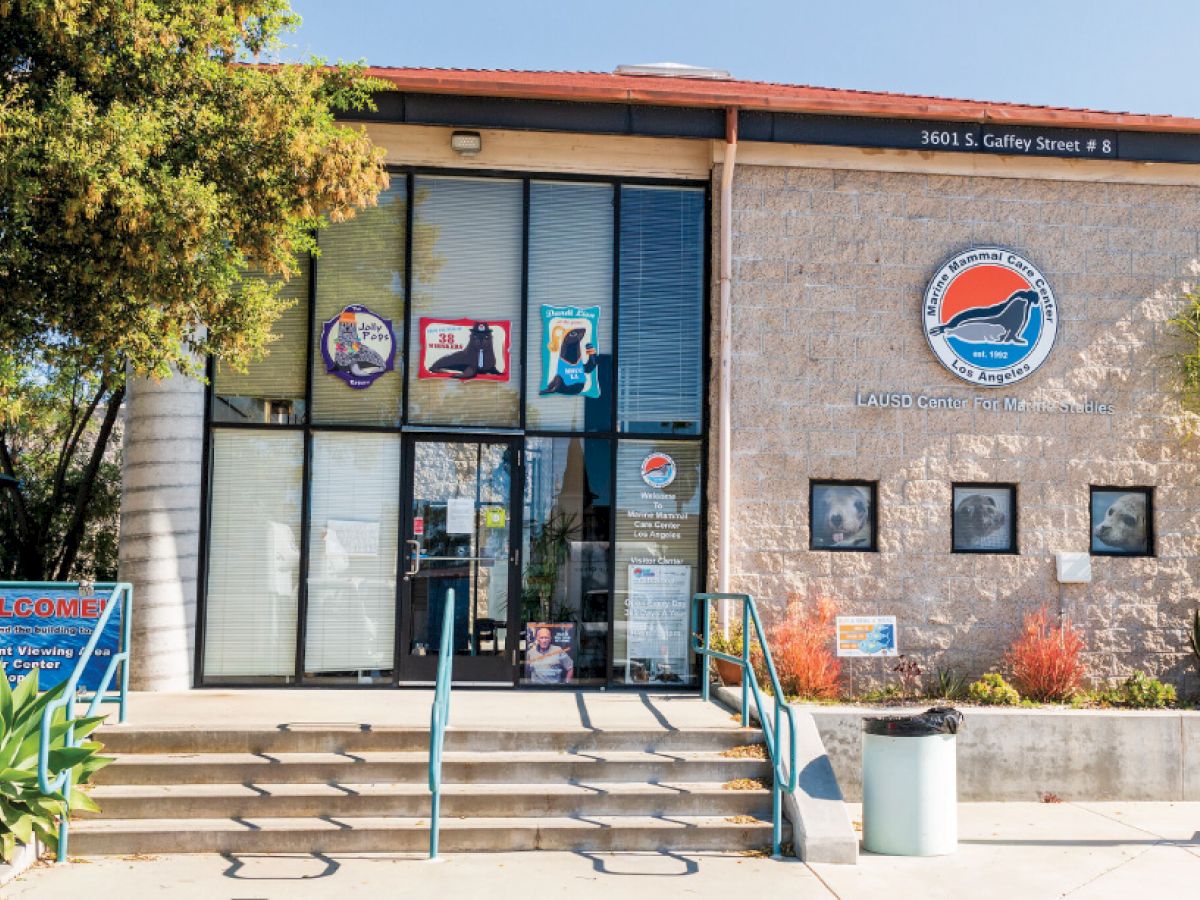 The image shows the entrance of an aquarium or marine center with a logo, steps leading up, and various posters on windows.