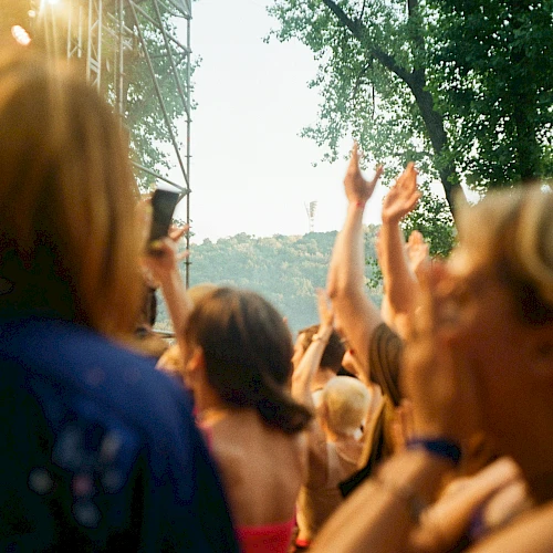 A crowd of people at an outdoor concert or party, many raising hands, sunlit trees in the background, some motion blur on faces.